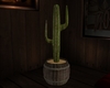 *Cactus Pot