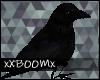 [B]Shoulder Crow