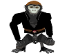 My Monkey Pirate Pet