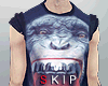 #3D Tank King
