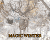 Winter Magic