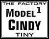TF Model Cindy1 Tiny