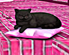Black Cat Pillow Pet