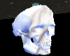 marble skull seat