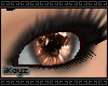 [iK] Copper Eyes