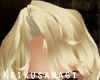 [K] Blonde Dashing Hair