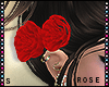 S|Rose Add on Right Side