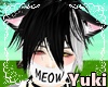 *Y* Meow Mask vs.2