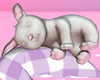 Bunny Sleep ♡