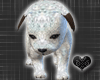 *-*Diamond Pet Puppy