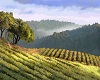 Wine Country Art VII