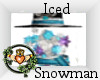 ~QI~ Iced Snowman