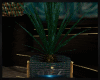 [OB] DECORUM plant