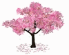 GM's Pink Japanese Tree