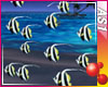 [AS1] Tropical Fishes E