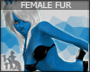 +KM+ Saphira Horse F