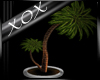 Palm Tree W