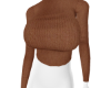 Brown Sweater AB