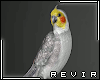 R║ Tropical Bird