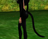 Thin Catwoman Tail