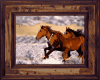 [M] Mustang Pic 3
