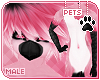 [Pets] Vimi | abless fur