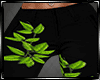 Ivy Pants  Black/Green