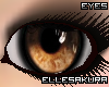 [ES] Brownwood Eyes