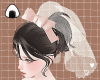 mini veil and ribbon