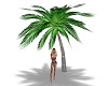 Sweet Palm Tree Kiss