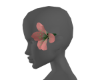 Il Tropical Flower f