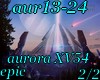 (shan)aur13-24 pt2/2