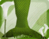 Green Mermaid Tail