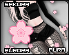 α. Sakura Aura