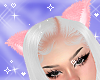 Fluffy Cat  Pink