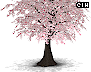 ▸Cherry Blossom Tree