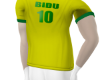 BIDU BRASIL