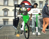 lime boa