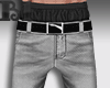 Pants Booked Grey