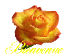 bienvenue