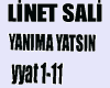 LiNET SALi YANIMA YATSIN