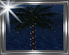 ! chill palm sunset