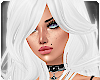 Oxu | White Tabby Hair 4