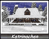 Lakeside Winter House