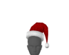 M/F Christmas Hat