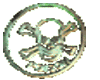 Skull Flash (GIF)