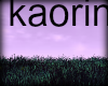 *kaorin*grassland