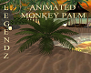 Animated Monkey Palm