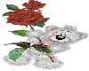 teddybear with a rose
