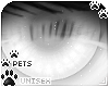 [Pets] Aurora | eyes v2